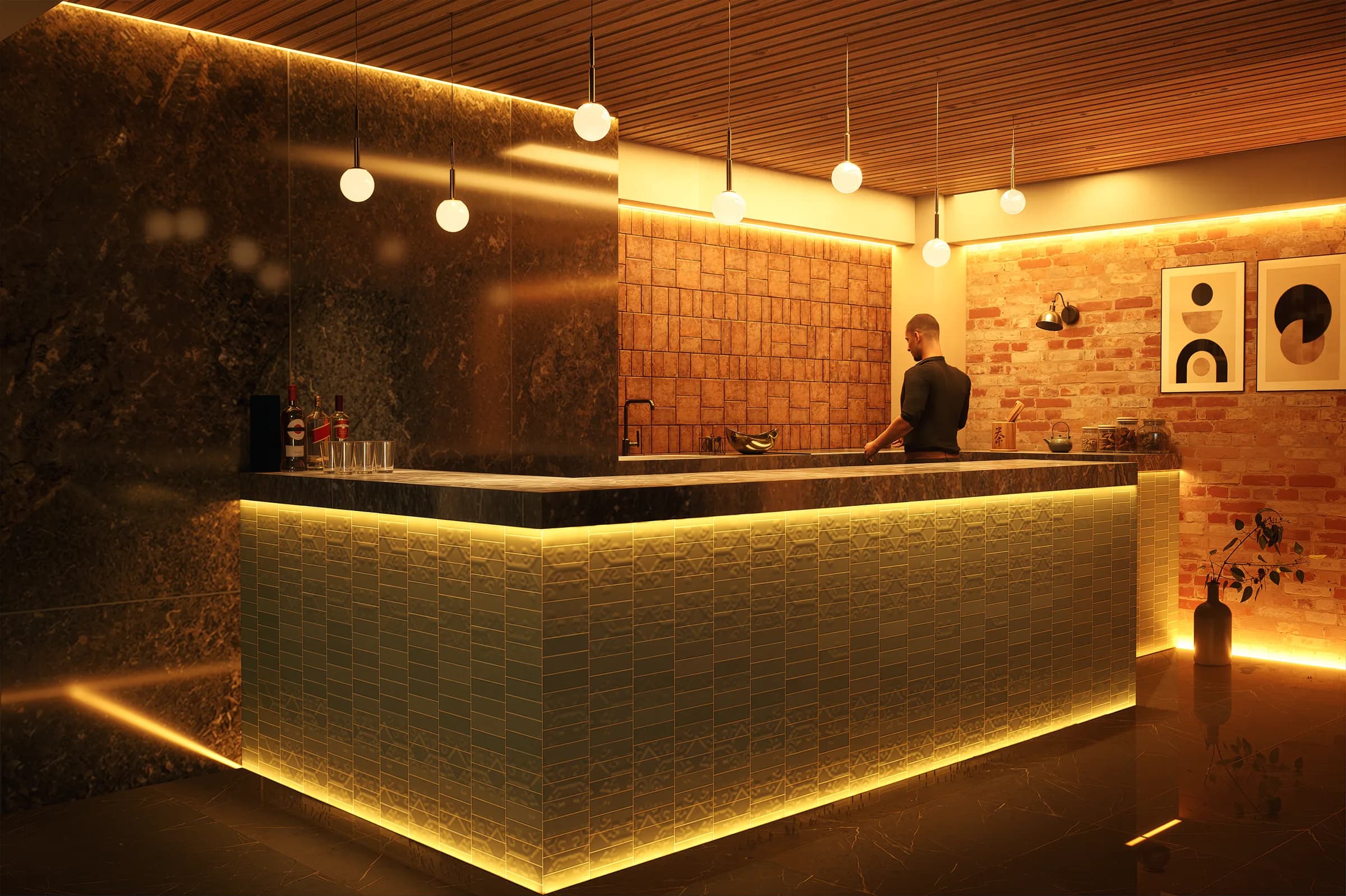 TCBY — Vivienda de interés social — imagen 4